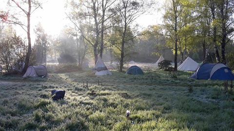 kamp-ochtend.jpg