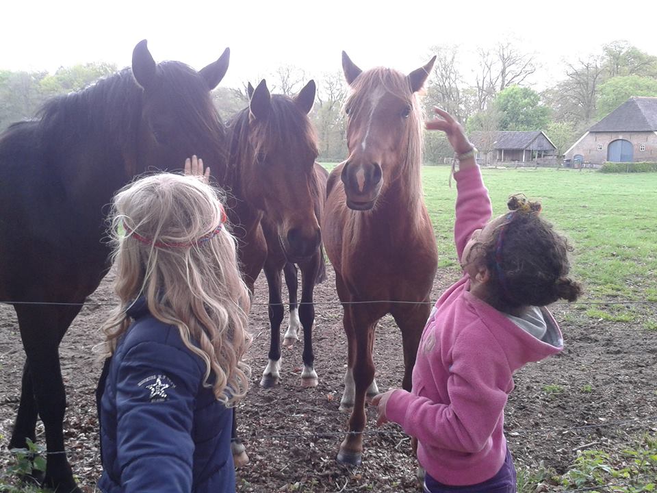 kinderen-bij-paarden.jpg