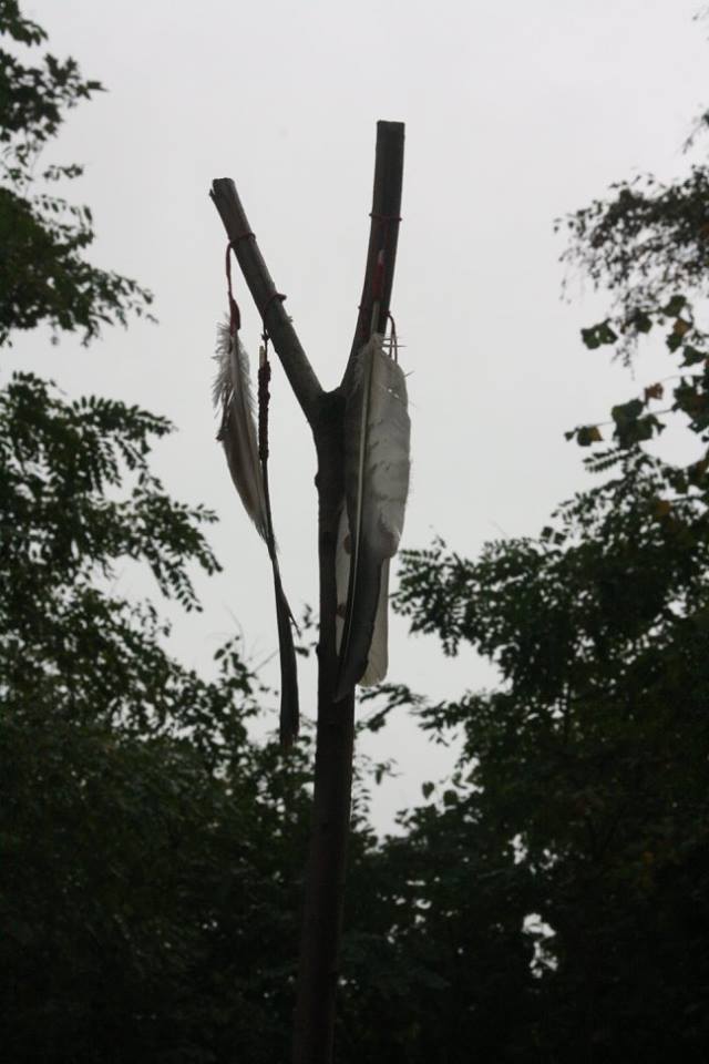 veren-aan-tak.jpg